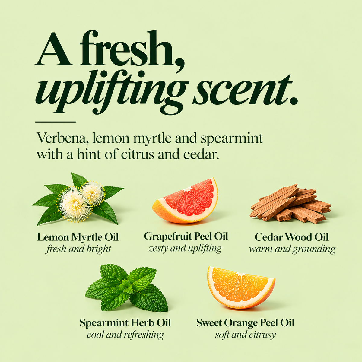 Huile Corps Verveine & Menthe Verte