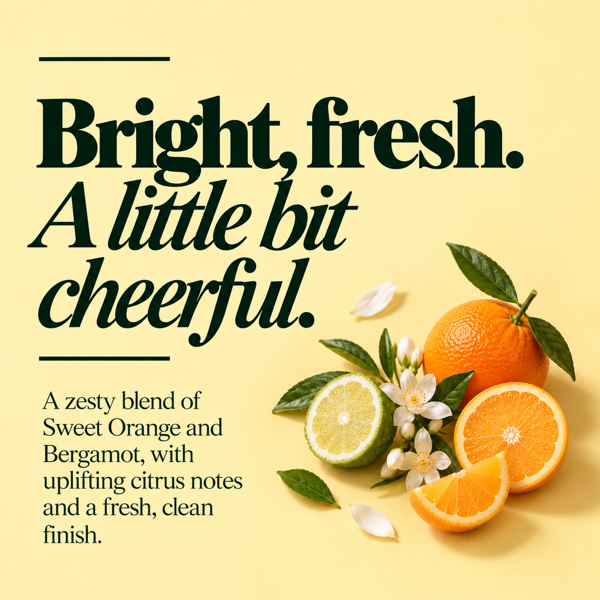 Crème Mains Riche à l'Orange Douce & Bergamote 30ml
