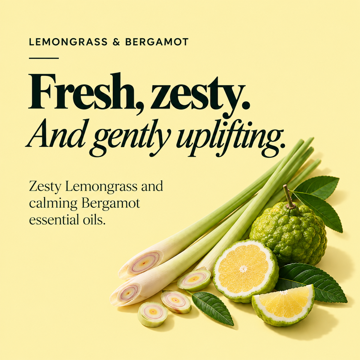 Hand Wash Gift Set – Natural Lemongrass & Bergamot Hand Care Set Ireland